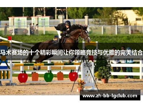 马术赛场的十个精彩瞬间让你领略竞技与优雅的完美结合